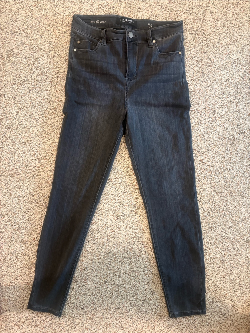 Liverpool Dark Wash Skinny Jeans in Black-Blue